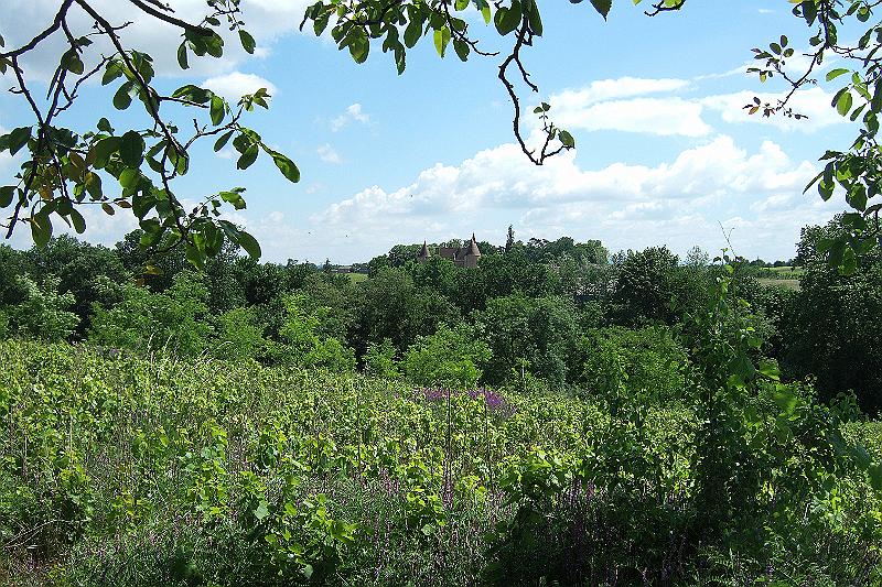 2010-06- (177).JPG - Im Wald versteckt: Château de Corcelles